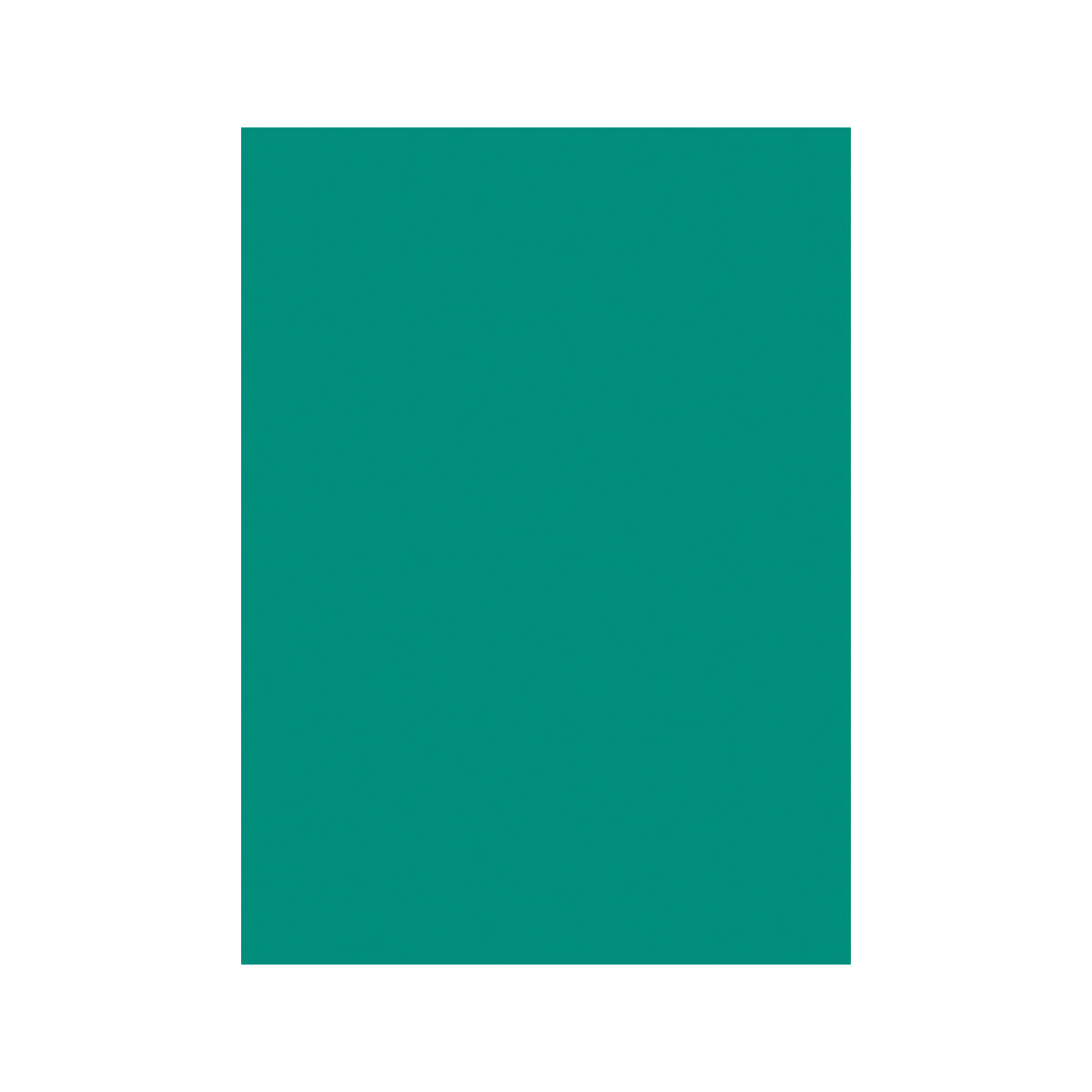 Double Matte Teal Sleeve